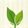 Urban Sprout Solutions Favicon